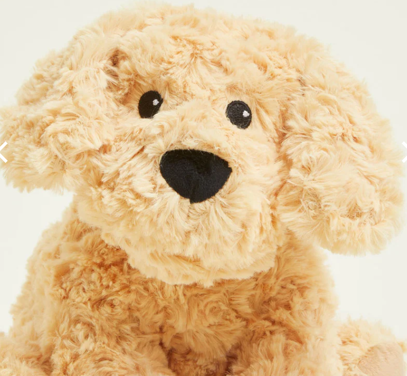 Warmies – Microwavable Lavender Scented Weighted Plush Animals – Golden Dog