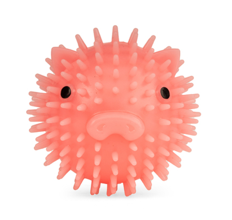 Kikkerland Piggy Ball Dog Toy