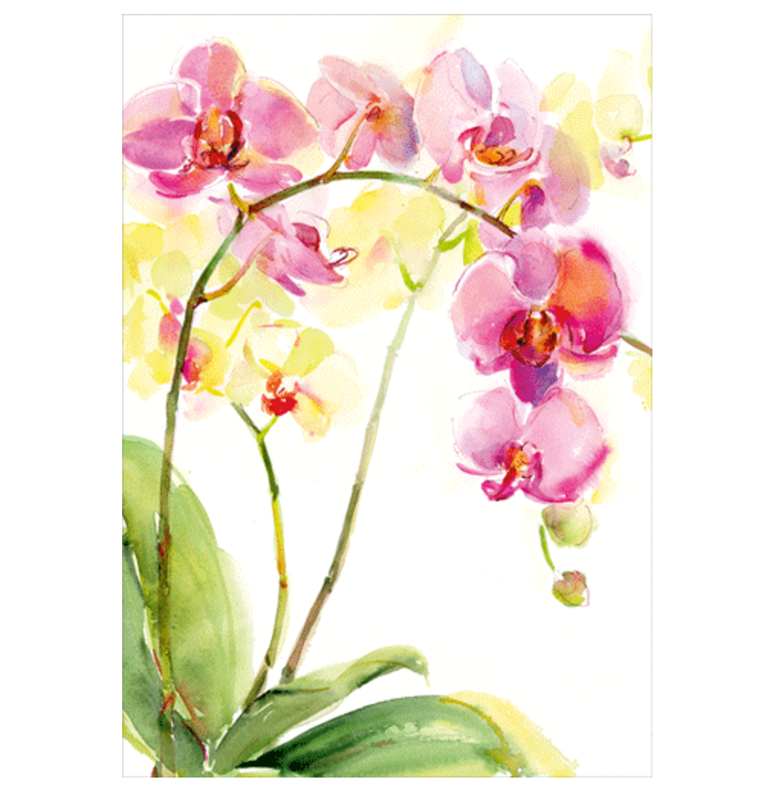 Caspari – "Watercolor Orchids" Sympathy Card – 1 Card & 1 Envelope