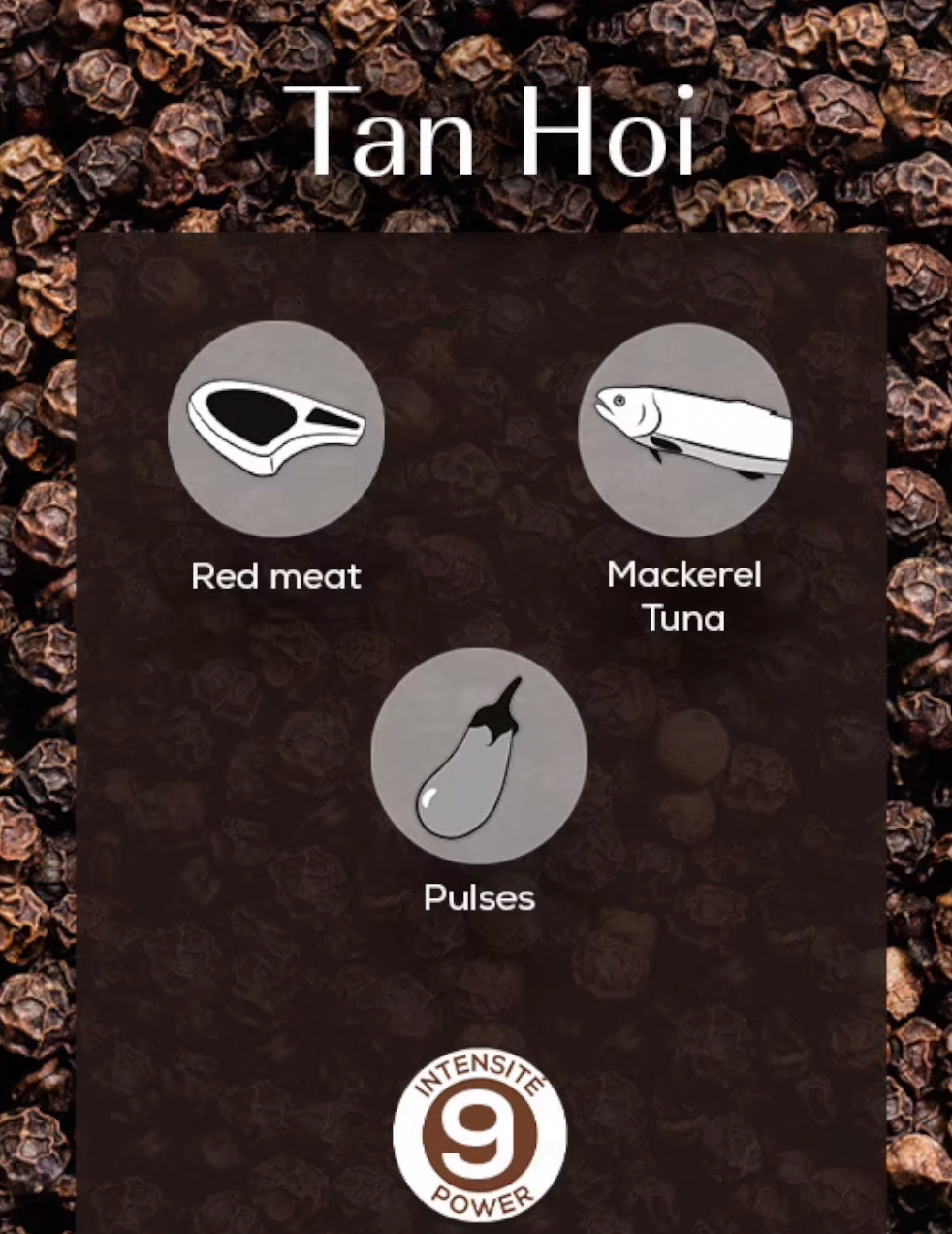 Peugeot Tan Hoi Vietnamese Black Peppercorns Refill – Single Sachet