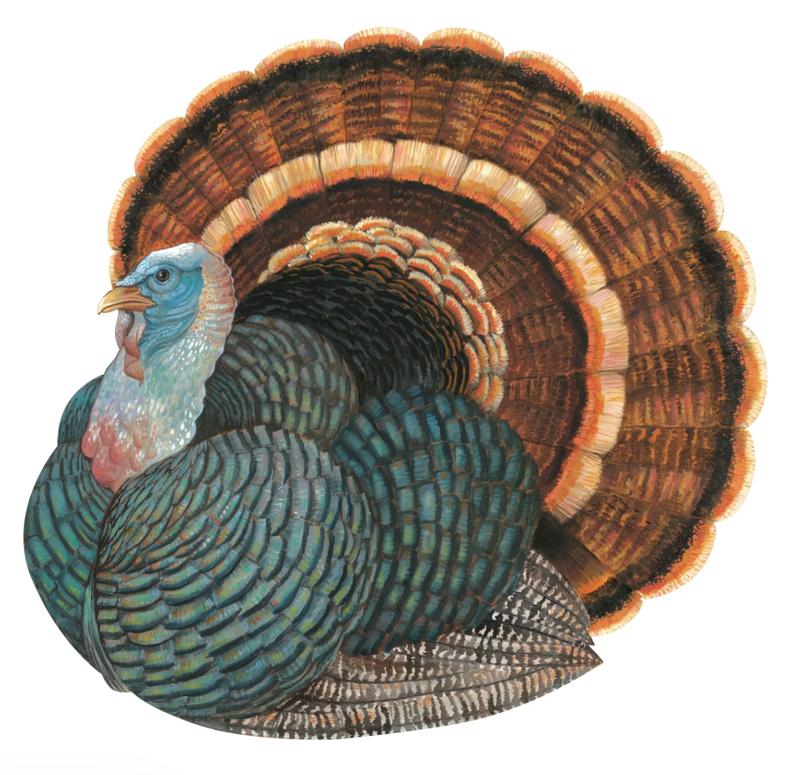 Hester & Cook Paper Placemats - Die-Cut Heritage Turkey Placemat – Pack of 12