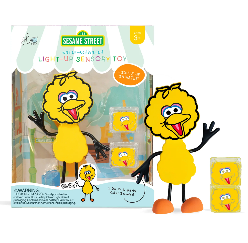 Glo Pals Light up Pal & Cubes – Big Bird Character