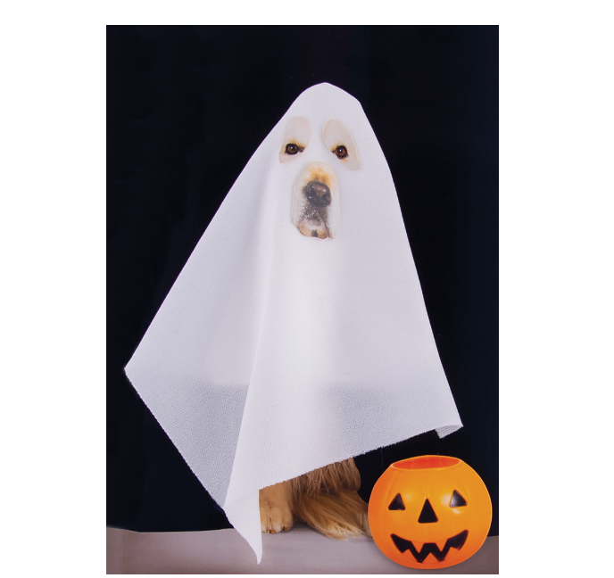 Design Design Halloween Ghost Dog Greeting Card– 1 Card & 1 Envelope