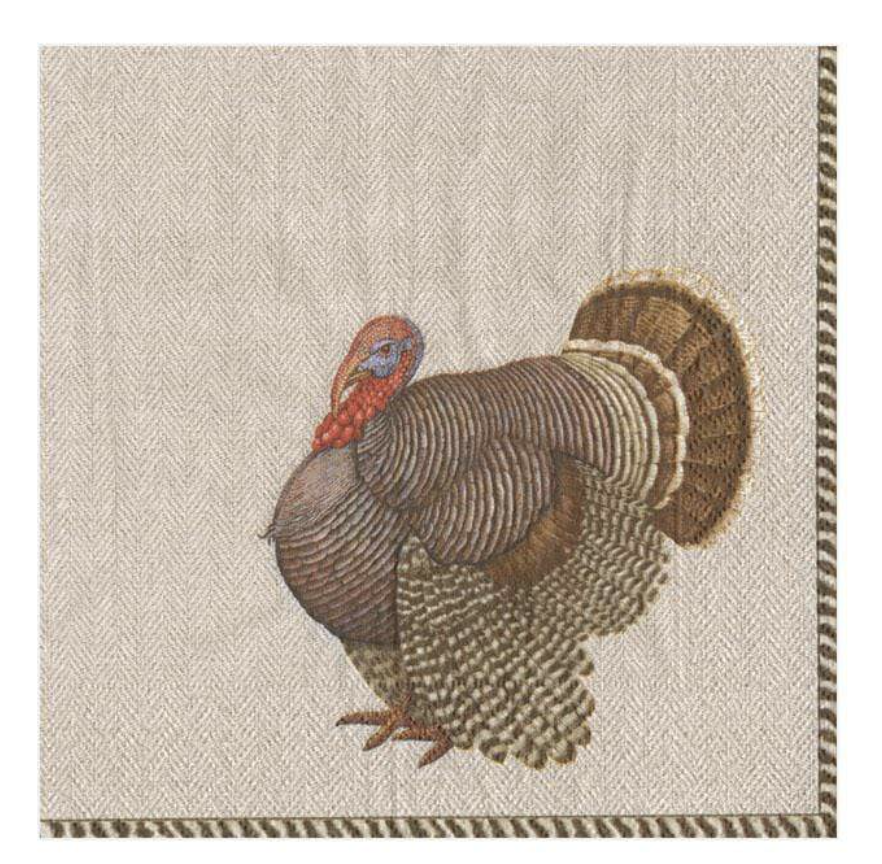 Caspari Thomas T. Byrd Cocktail Napkin - 20pk