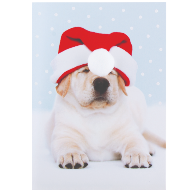 Design Design Silly Santa Cup Handmade Greeting Card – 1 Card & 1 Envelope