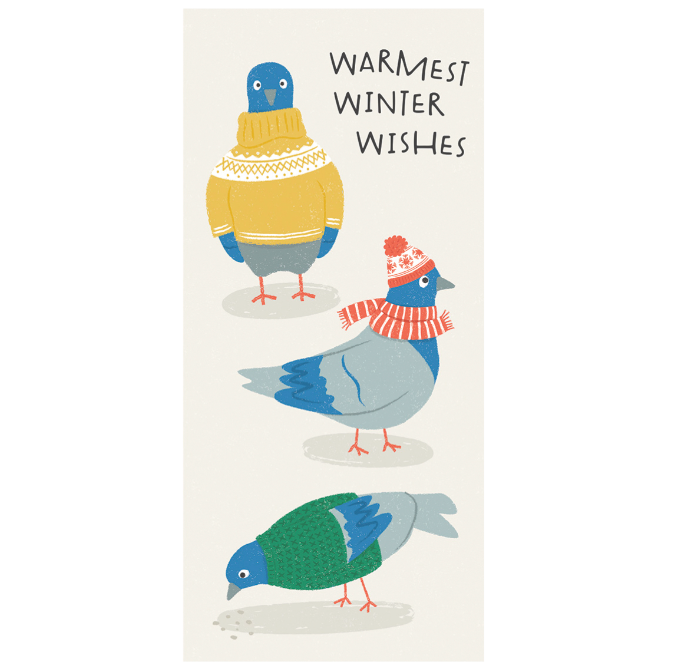 Design Design NYC Snowbird Money Enclosures – 6pk