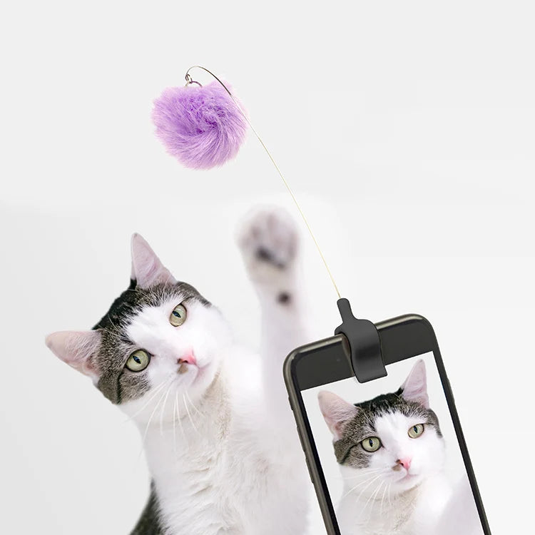 Kikkerland Kitty Phone Clip Cat Toy – Assorted Colors – Each Sold Separately