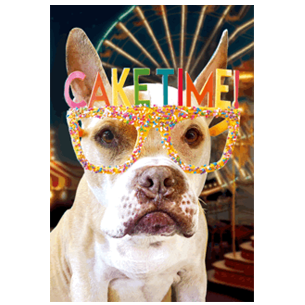 Party Partners 3D Lenticular Birthday Greeting Card – Cake Time – 1 Card & 1 Envelope