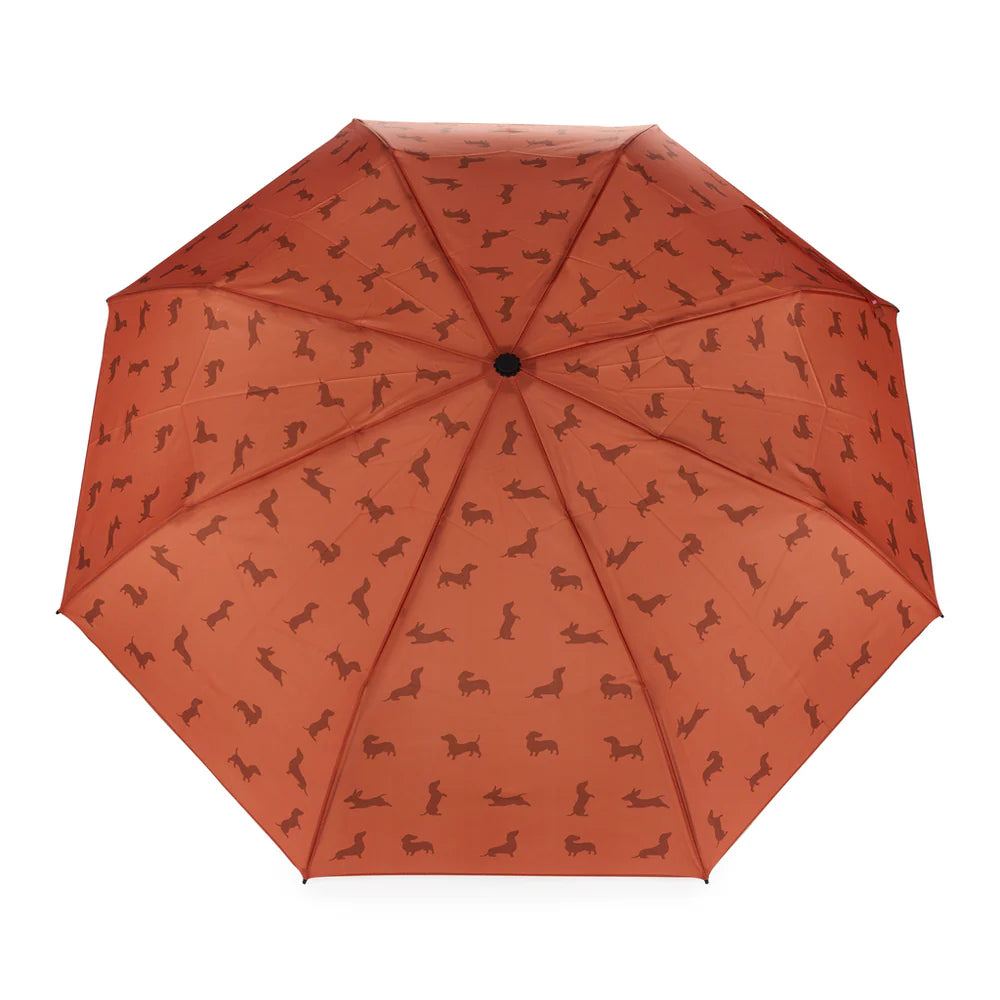 Teckel Umbrella – Brown