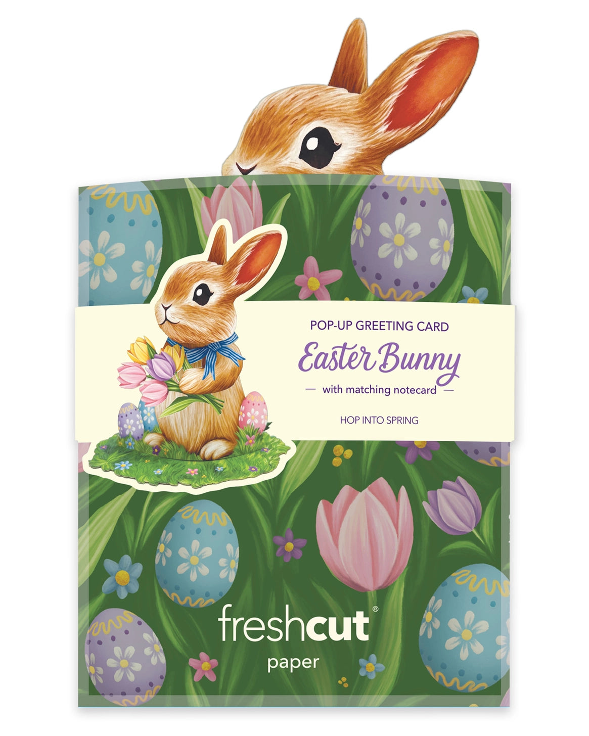 Fresh Cut Paper Mini 3D Pop Up Greeting Note Card –  Bunny – 6" x 5"