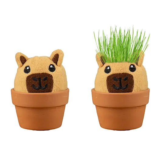 Gift Republic Grow Pal Kit – Grow a Little Green Haired – Capybara
