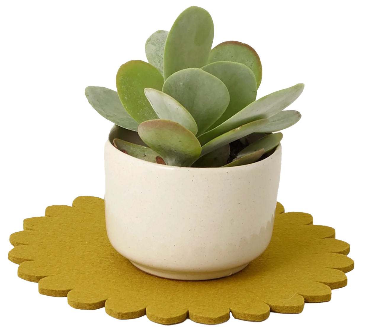 Graf Lantz Crest 8" Trivet – Dandelion