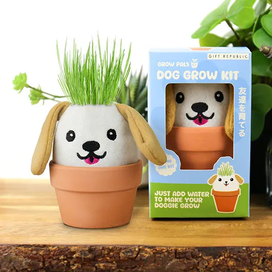 Gift Republic Grow Pal Kit – Grow a Little Green Haired – Dog