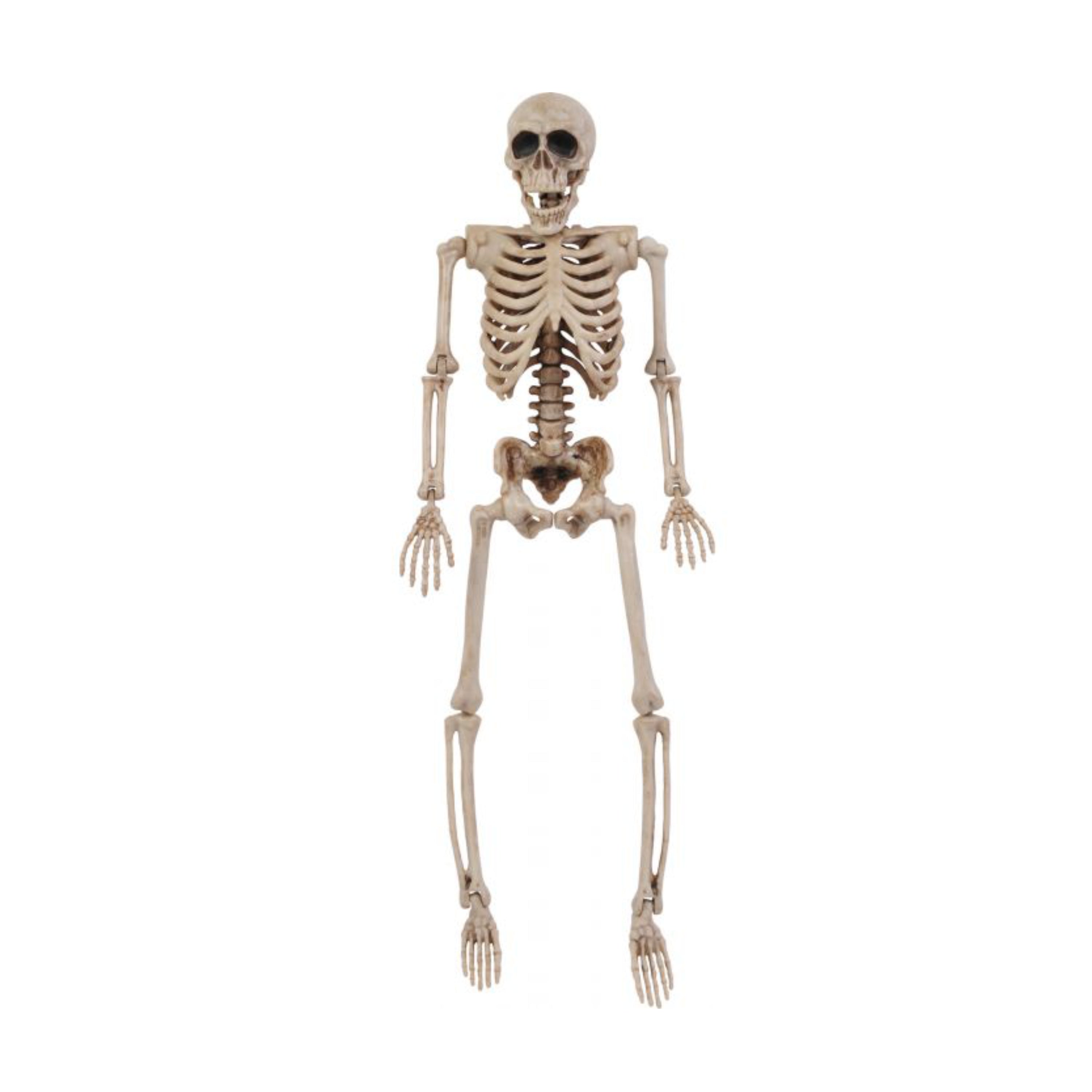 Posable Decorative Halloween Skeleton – 14"