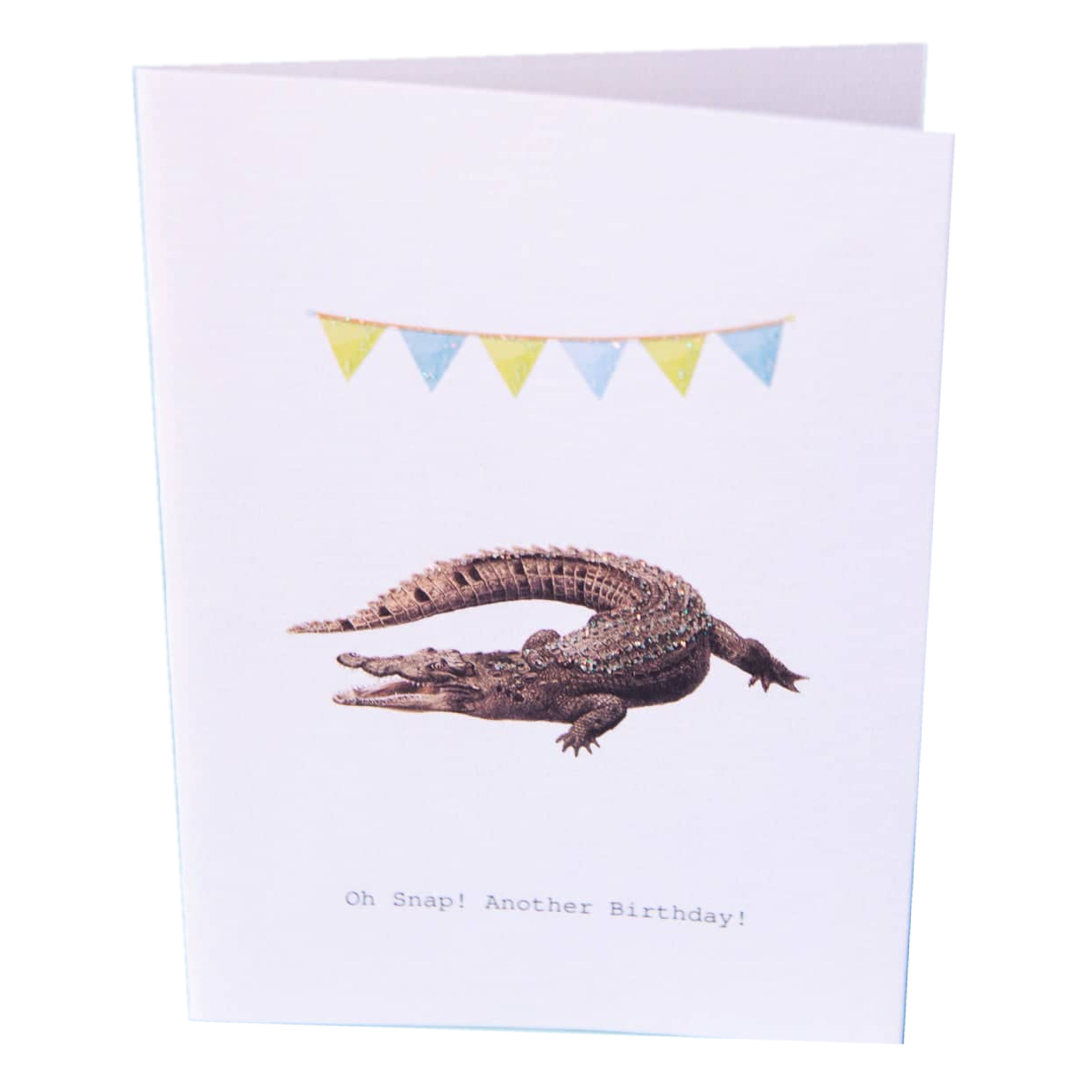 Oh Snap! Another Birthday! Glitter Greeting Card – 3.5" x 5"