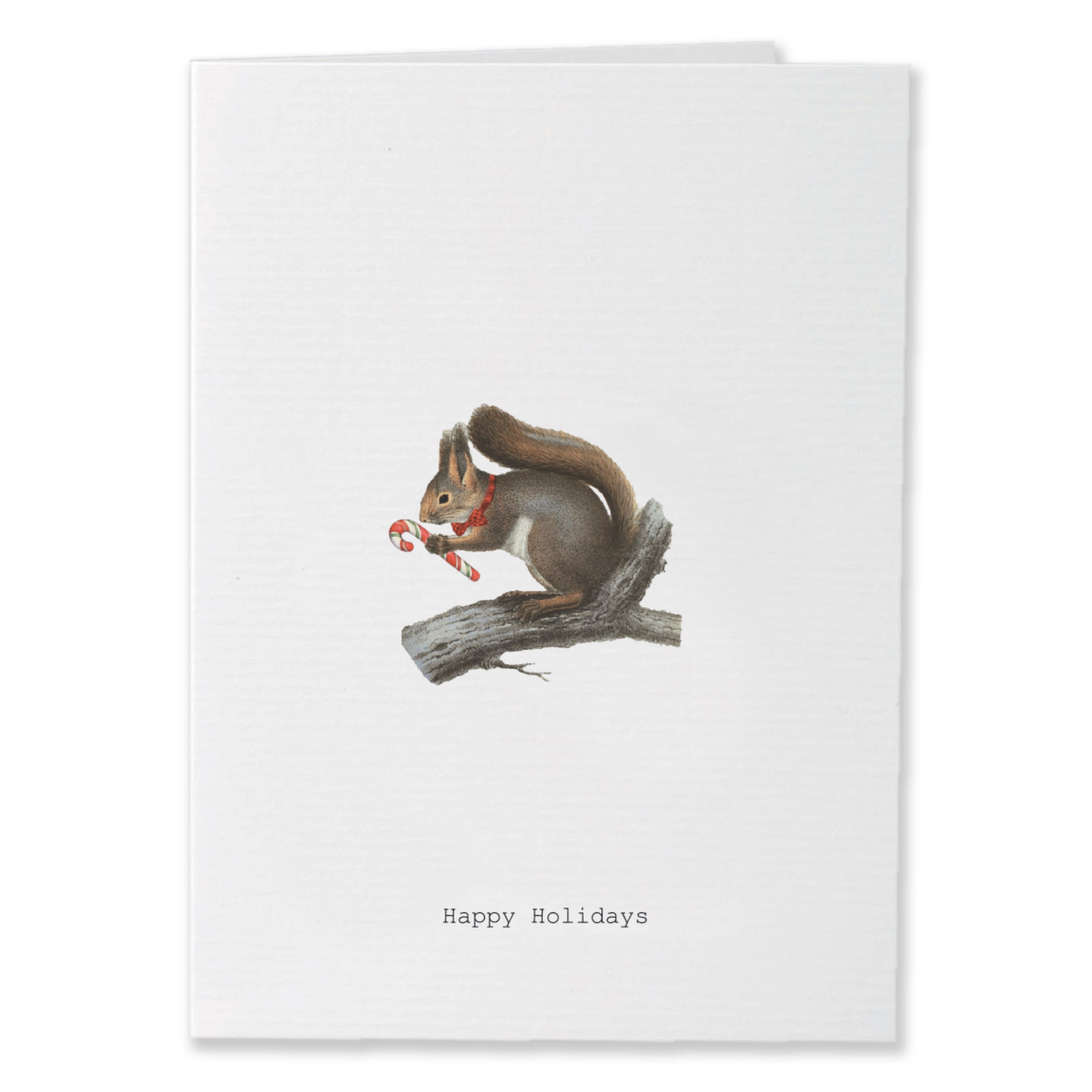Happy Holidays Squirrel Glitter Greeting Card – 3.5" x 5"