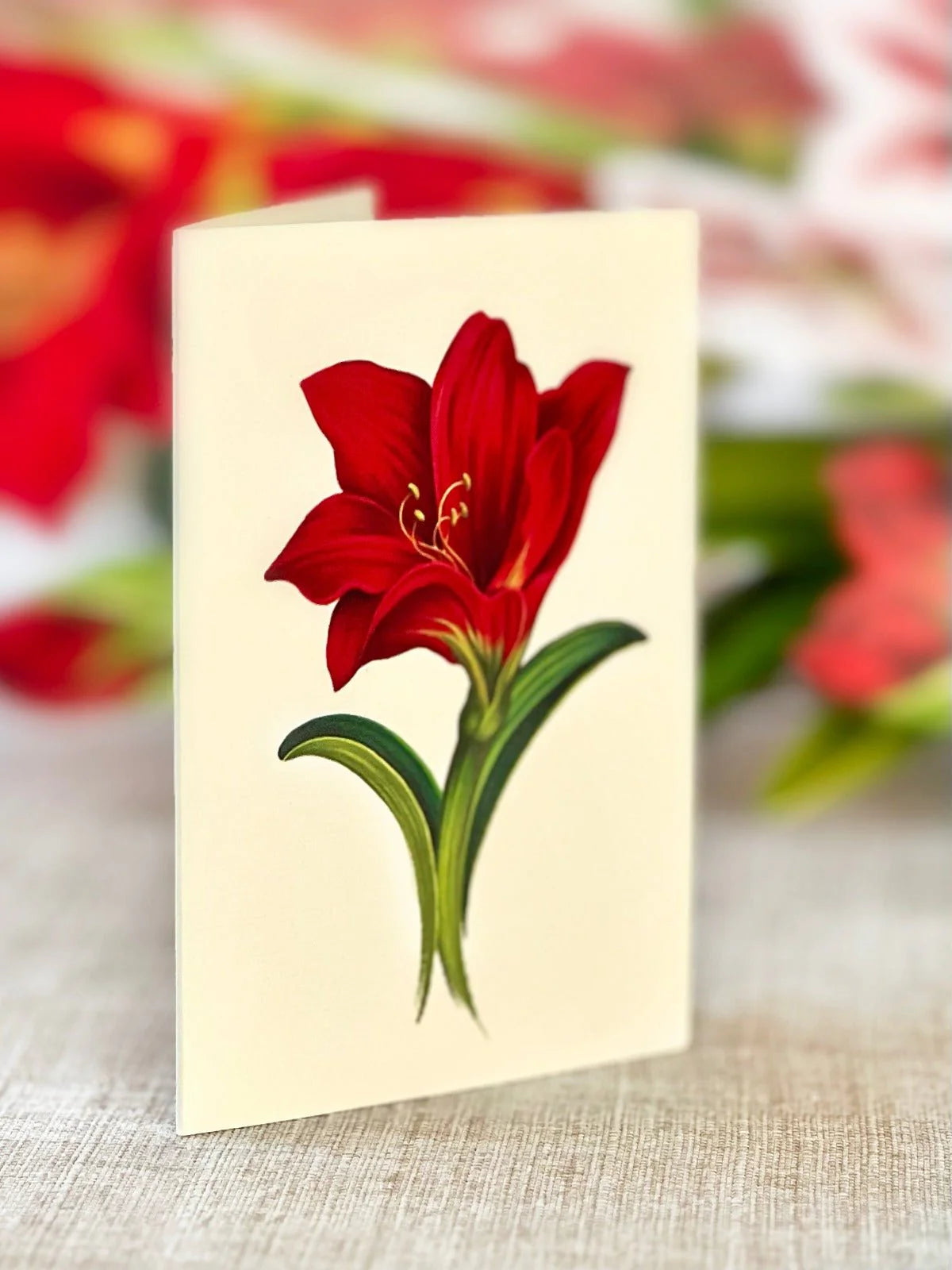 Fresh Cut Paper 3D Pop Up Flower Greeting Note Card – Scarlet Amaryllis – 6" x 5"