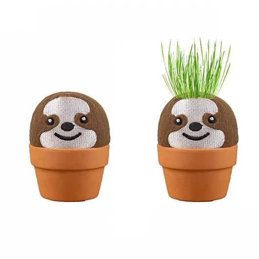 Gift Republic Grow Pal Kit – Grow a Little Green Haired – Sloth