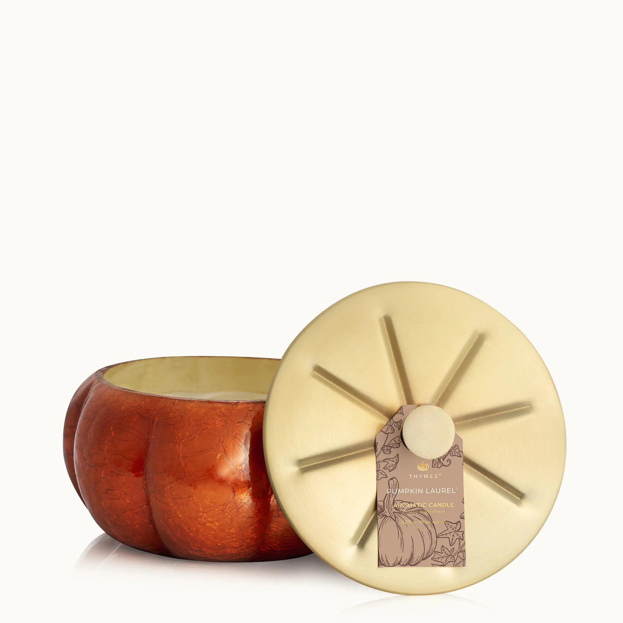 Thymes Pumpkin Laurel Candle - Thumbnail 2