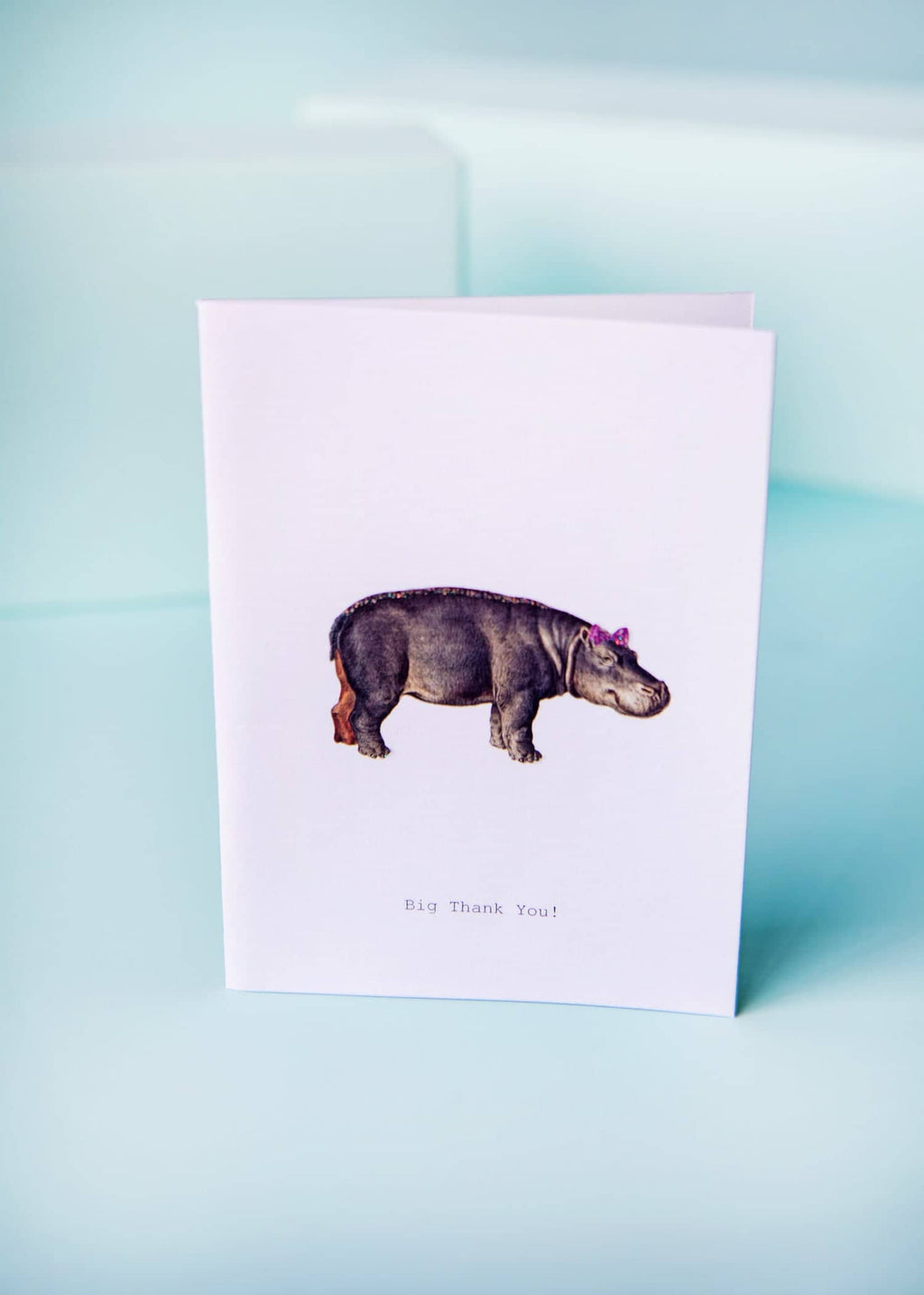 Thank You Hippo Glitter Greeting Card – 3.5 x 5