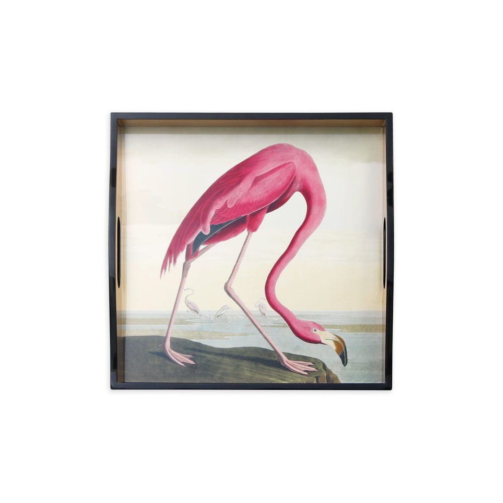 Caspari Lacquer Square Tray, Audubon Birds Flamingo