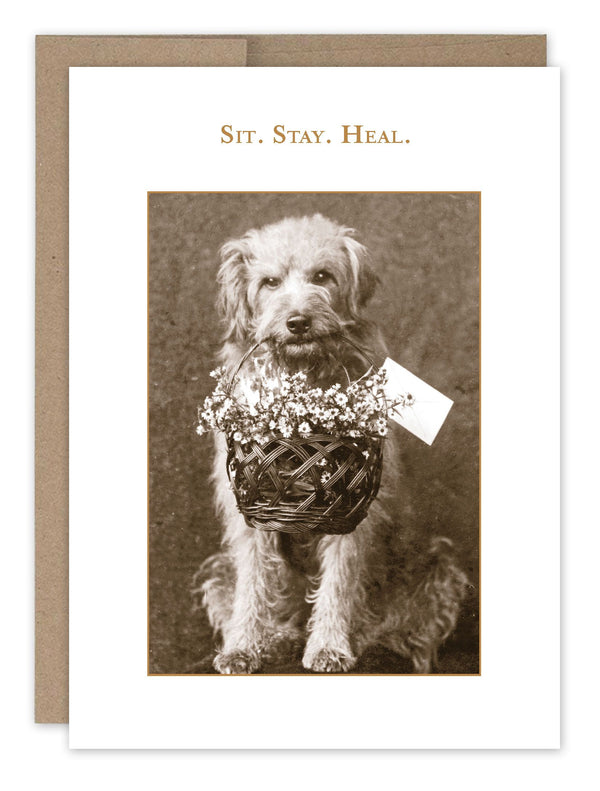 Shannon Martin Get Well Card – Sit Stay Heal