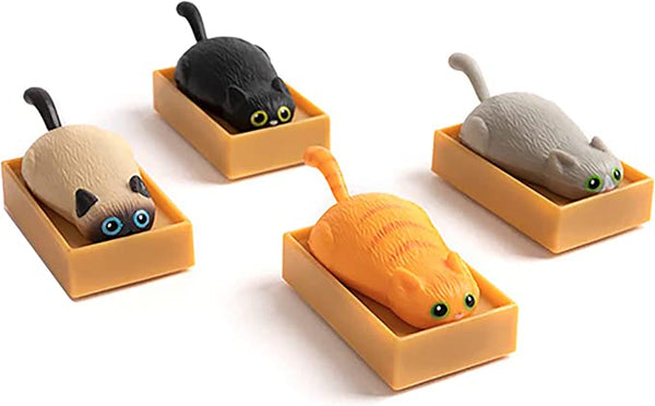 Racing Cats In Boxes Toy – Each Sold Separately