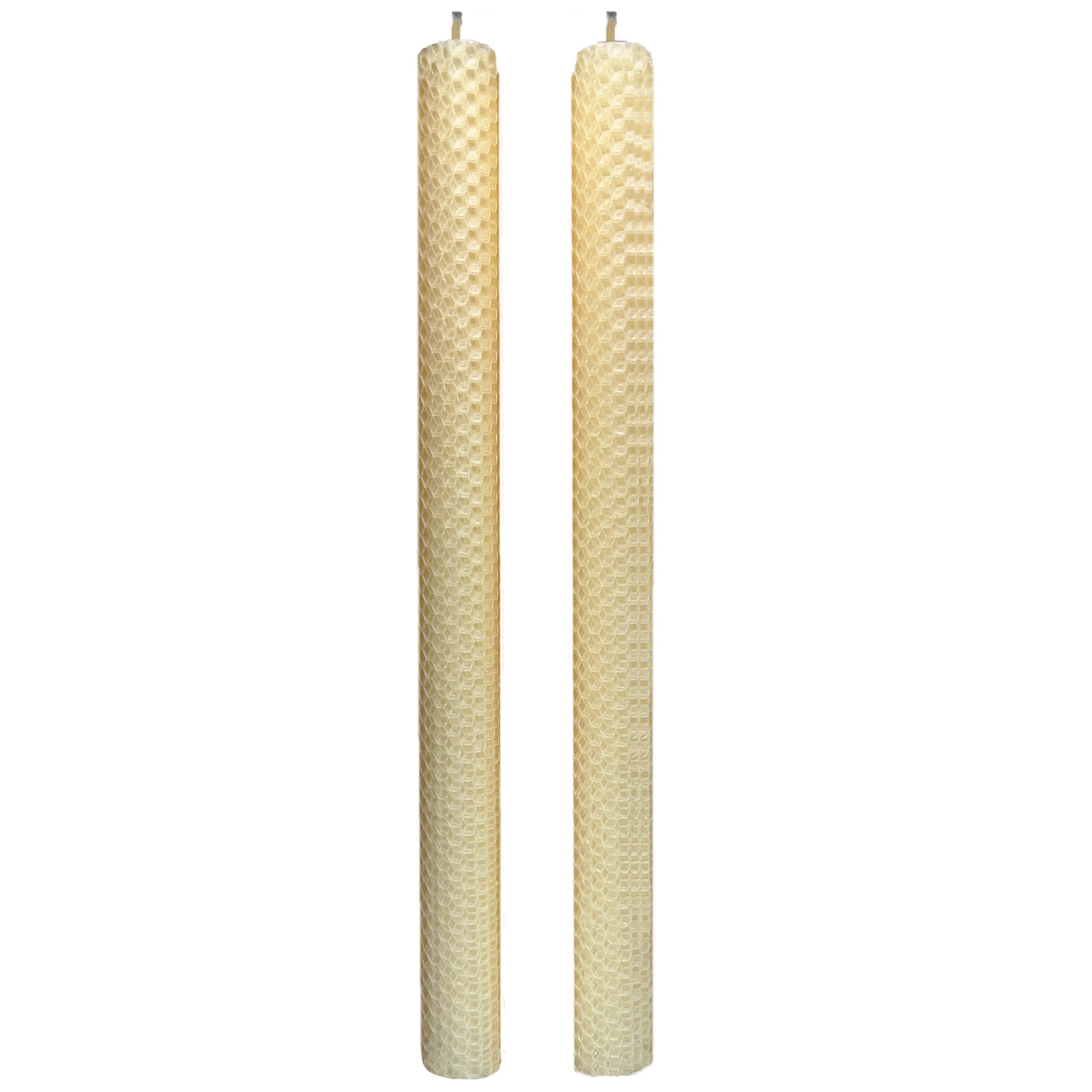 Dadant Rolled Beeswax Taper Candles – Classic Ivory – 7/8" x 12"– Pack of 2