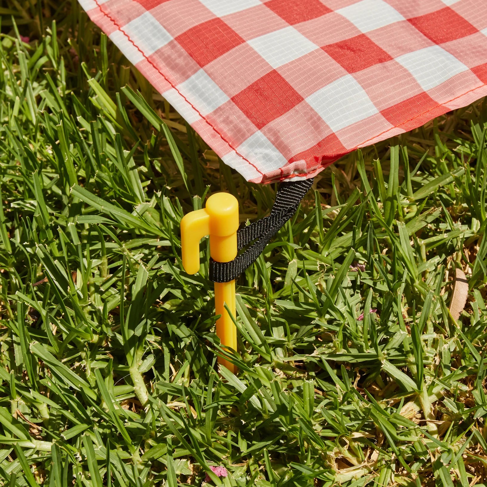 Kikkerland Picnic Blanket - Thumbnail 4