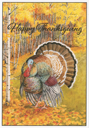Caspari – Turkey In Birchwood Happy Thanksgiving Card – 1 Card & 1 Envelope