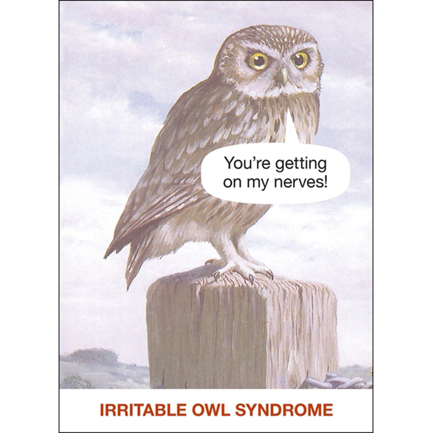 Ladybird Books Card – Owl
