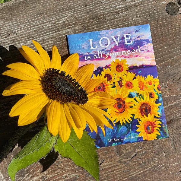 Bentley Seed Company – LOVE is all you need - All Sorts of Sunflowers Seed Packet