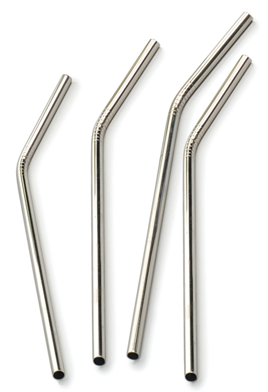 Endurance Stainless Steel Straws – Set of 4