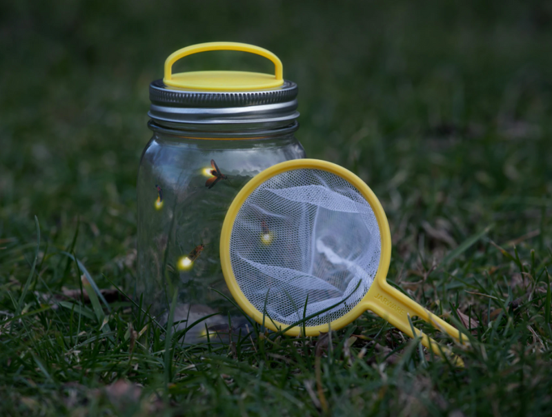 Firefly Kit – Catch a Jar Full And Watch Them Shine