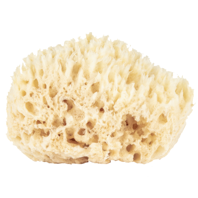 Baudelaire Wool Bath Sponge –  4.5 inch