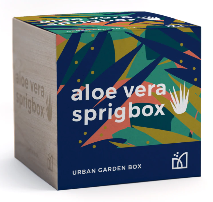 Sprigbox Grow Kit – Aloe Vera