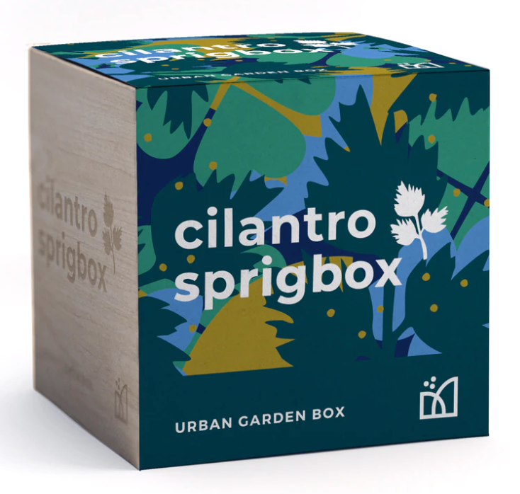 Sprigbox Grow Kit – Cilantro
