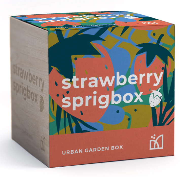 Sprigbox Grow Kit – Strawberry