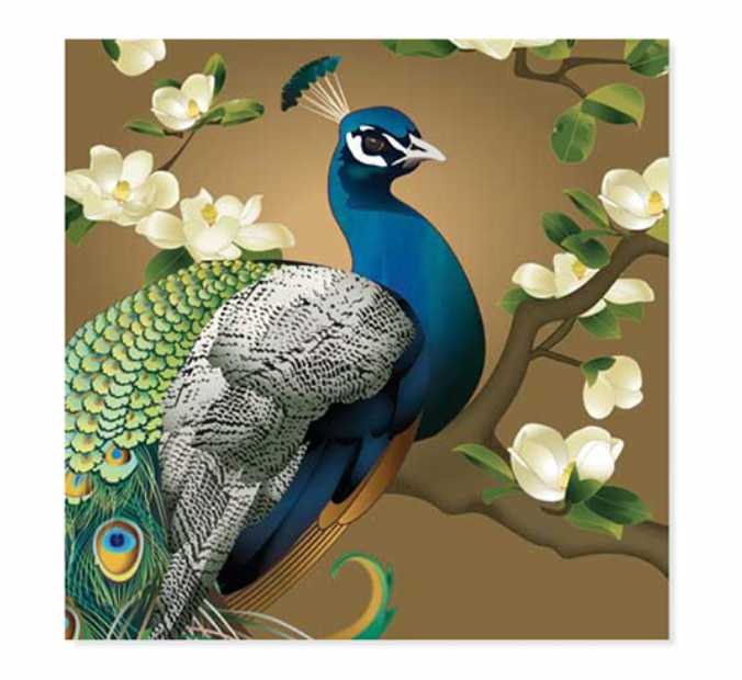 Up With Paper 3D Pop-Up Greeting Card – Peacock
