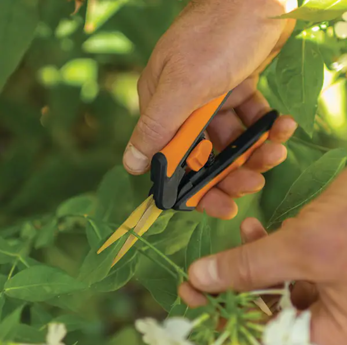 Fiskars Micro Tip – Pruning Snips With with Softgrip handles