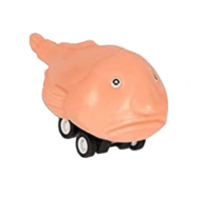 Racing Blobfish – Assorted Colors – SOLD INDIVIDUALLY