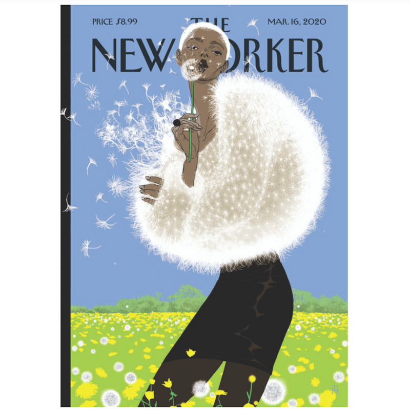 New Yorker Cover Note Card - Blown Away