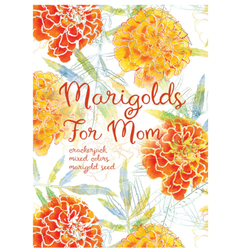 Bentley Seed Company – Marigolds for Mom - Marigold Seed Packet