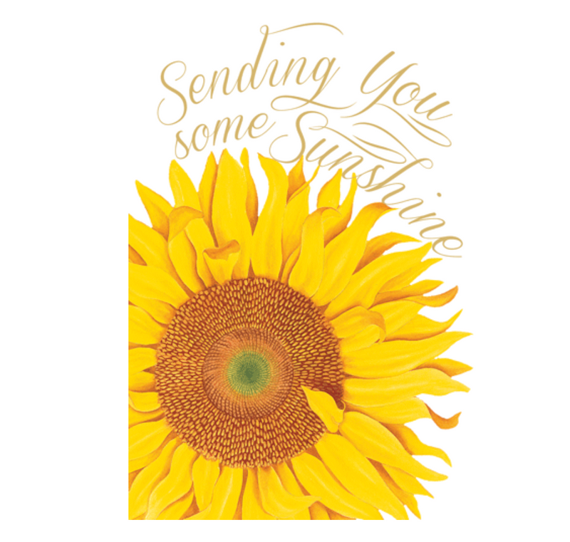 Caspari Sending Sunshine Birthday Card – 1 Card & 1 Envelope