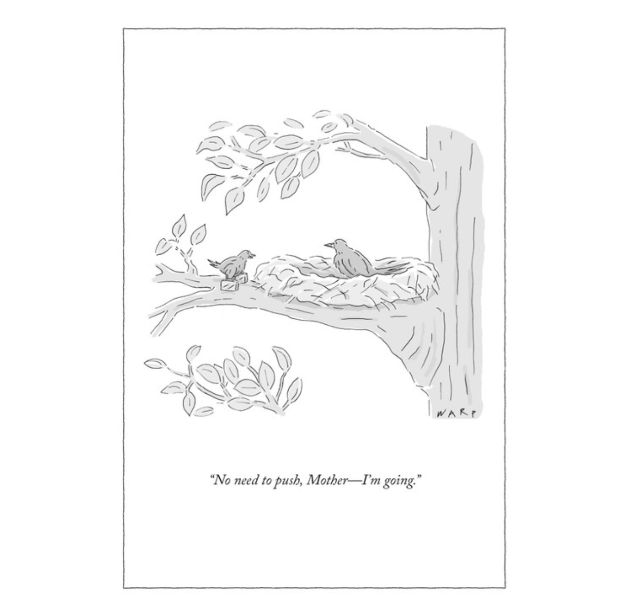 New Yorker Mother's Day Note Card -  No Need To Push