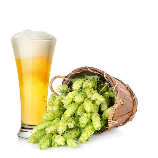 Sprigbox Grow Kit – Brewer's Hop
