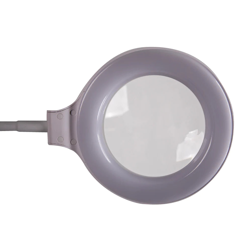 LED Task Light and Magnifier Table Lamp