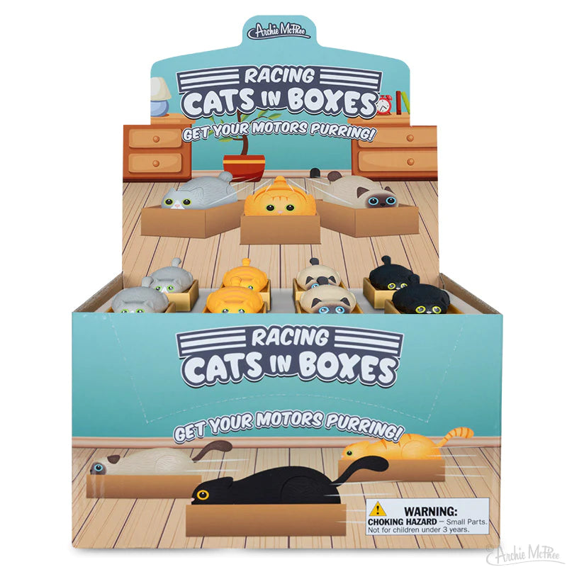 Racing Cats In Boxes Toy – Each Sold Separately